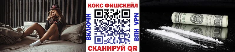 Купить  Ялуторовск  КОКАИН Fish Scale 